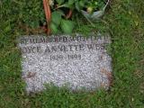 image of grave number 409881